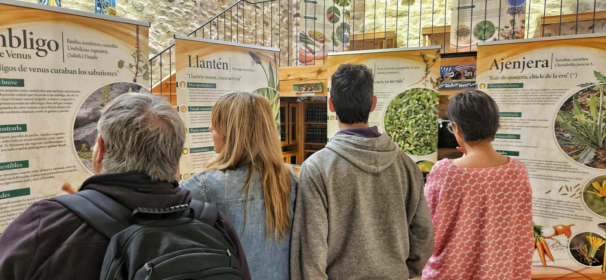 NUEVA EXPOSICIÓN SOBRE PLANTAS COMESTIBLES